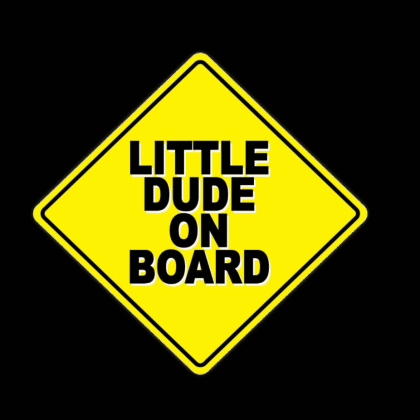 Little Dude on Board