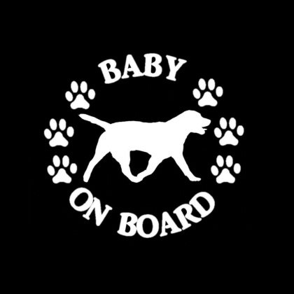 Baby Labrador Retriever on Board Sticker
