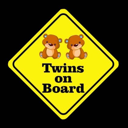 Baby Bear Twins On Board Sticker