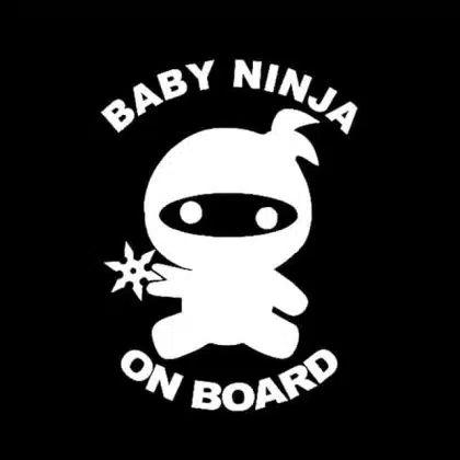 baby ninja on board